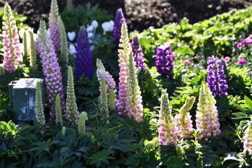 �1762245 �������(a): ����������:1920x1280